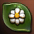 꽃 송편